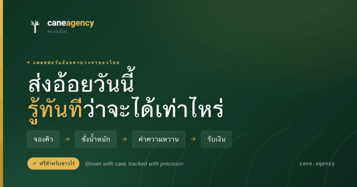 Screenshot of cane.agency
